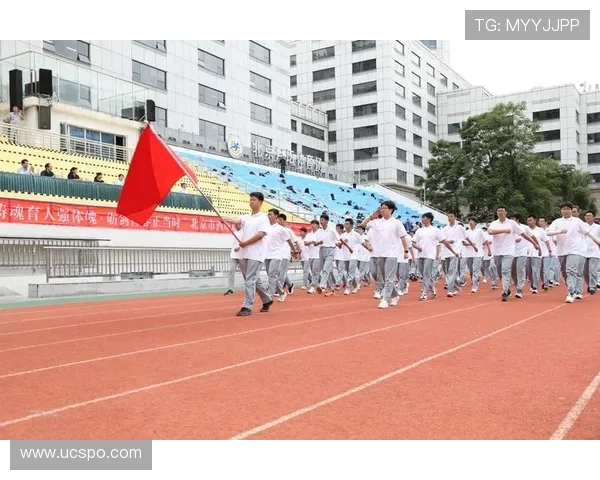 杭州排球队的精神力量与团队意识探讨：排球运动中的团结与奋斗